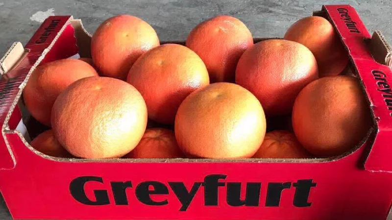 Greyfurt